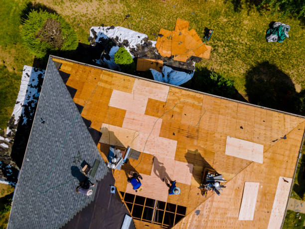 Quick and Trustworthy Emergency Roof Repair Services in Alondra Park, CA
